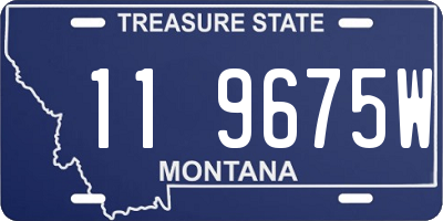 MT license plate 119675W