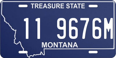 MT license plate 119676M