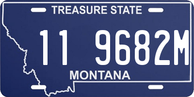 MT license plate 119682M