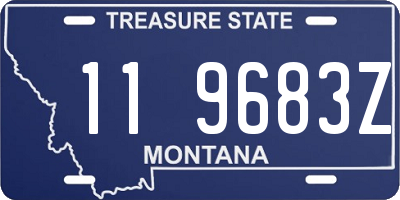MT license plate 119683Z