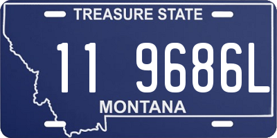 MT license plate 119686L