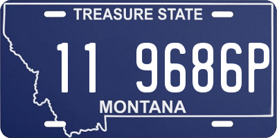 MT license plate 119686P