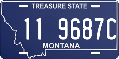 MT license plate 119687C