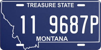 MT license plate 119687P