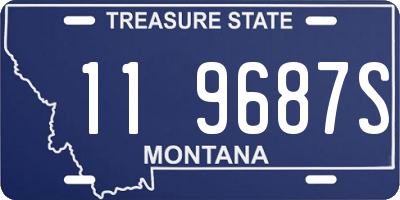 MT license plate 119687S