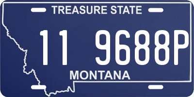 MT license plate 119688P