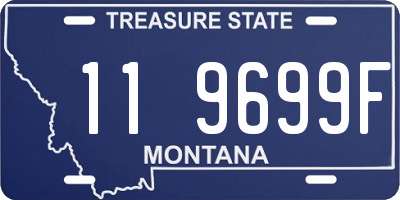 MT license plate 119699F