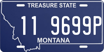 MT license plate 119699P