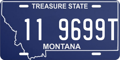 MT license plate 119699T