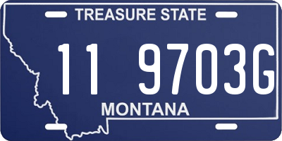 MT license plate 119703G