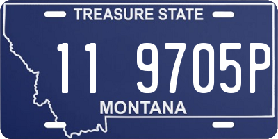 MT license plate 119705P