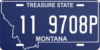 MT license plate 119708P