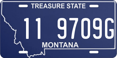 MT license plate 119709G