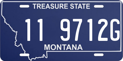 MT license plate 119712G