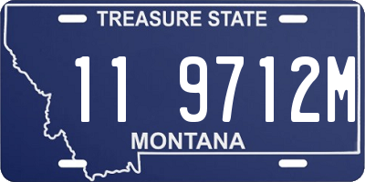 MT license plate 119712M