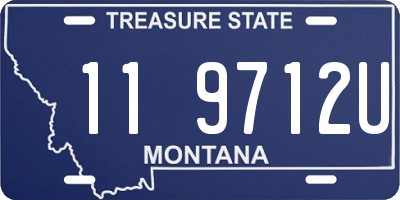 MT license plate 119712U