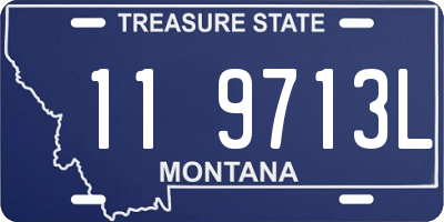 MT license plate 119713L