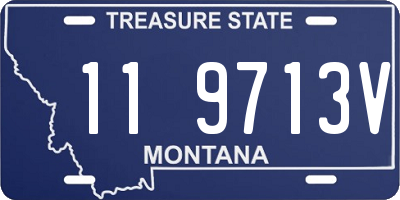 MT license plate 119713V