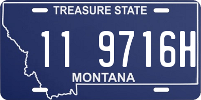 MT license plate 119716H