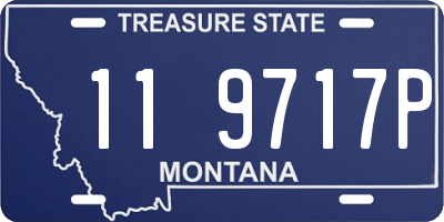 MT license plate 119717P