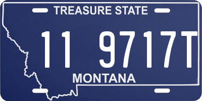 MT license plate 119717T