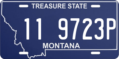 MT license plate 119723P