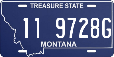 MT license plate 119728G