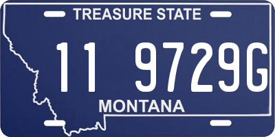 MT license plate 119729G