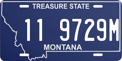 MT license plate 119729M