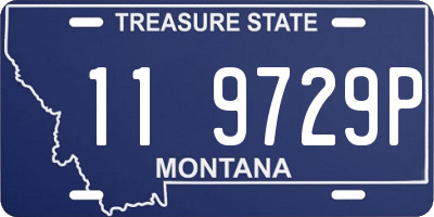 MT license plate 119729P