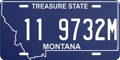 MT license plate 119732M