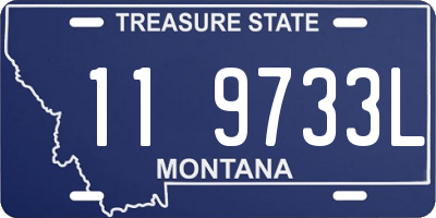 MT license plate 119733L