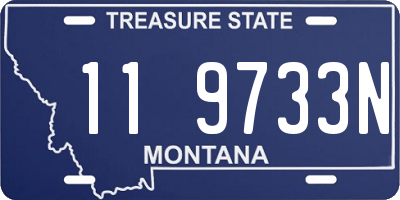 MT license plate 119733N