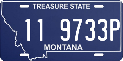 MT license plate 119733P