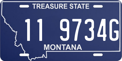 MT license plate 119734G