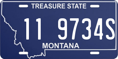 MT license plate 119734S