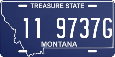 MT license plate 119737G