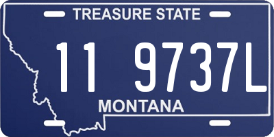 MT license plate 119737L