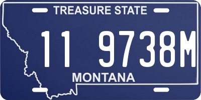 MT license plate 119738M