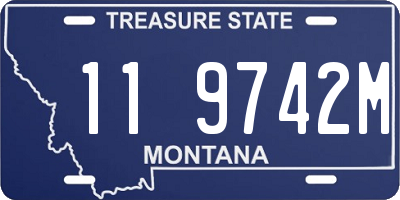 MT license plate 119742M