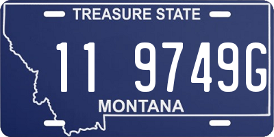 MT license plate 119749G