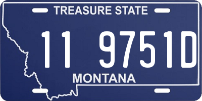 MT license plate 119751D