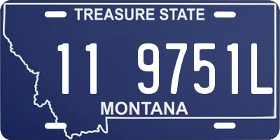 MT license plate 119751L