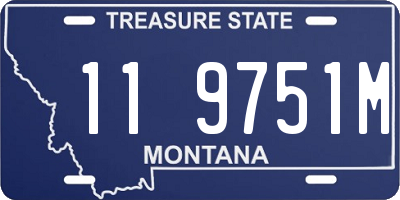 MT license plate 119751M