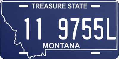 MT license plate 119755L