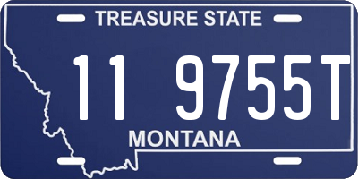 MT license plate 119755T