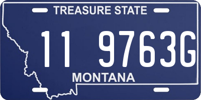 MT license plate 119763G