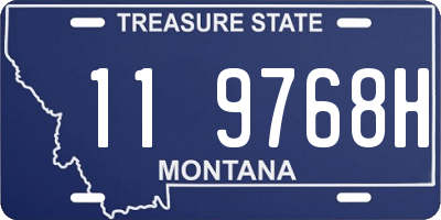MT license plate 119768H
