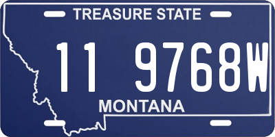 MT license plate 119768W