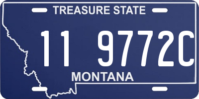 MT license plate 119772C